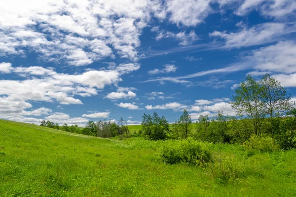 Hermoso Paisaje Verano Escena Luz Del Día — Foto de Stock