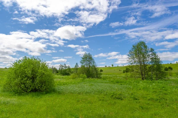 Gün ışığında güzel yaz manzarası