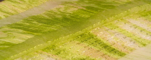 Шовкова Тканина Зелено Коричневий Абстрактний Фон Розкішна Тканина Або Рідка — стокове фото
