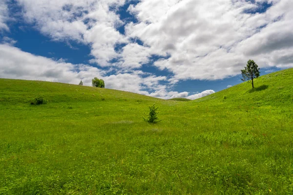 Gün ışığında güzel yaz manzarası