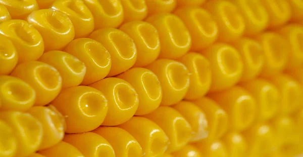 Close Shot Corn Food Wallpaper — Stock Photo, Image