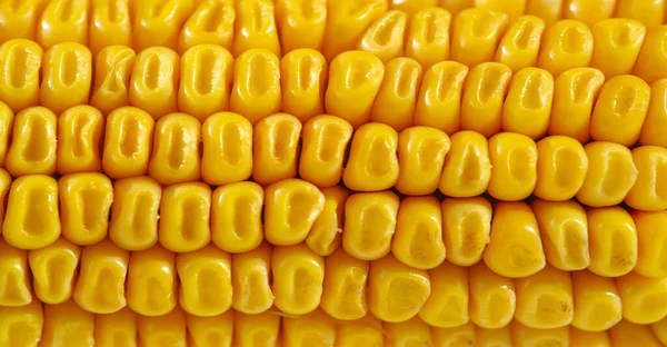 Close Shot Corn Food Wallpaper — Stock Photo, Image