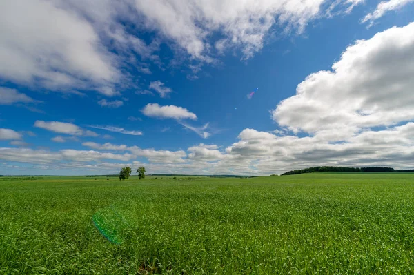 Gün ışığında güzel yaz manzarası