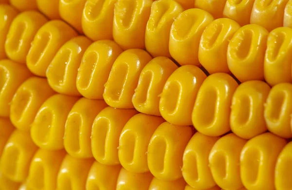 Close Shot Corn Food Wallpaper — Stock Photo, Image