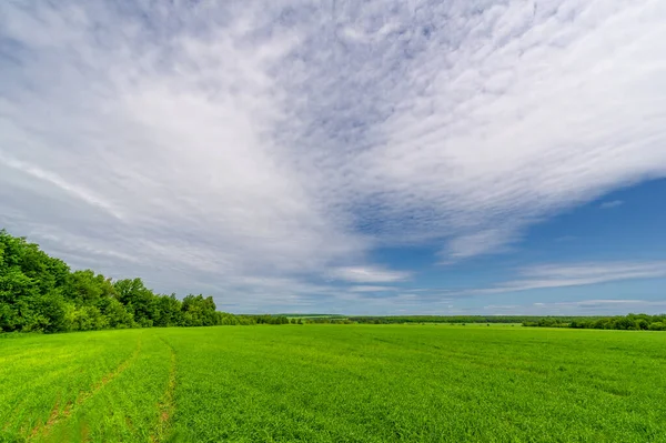 Hermoso Paisaje Verano Escena Luz Del Día — Foto de Stock