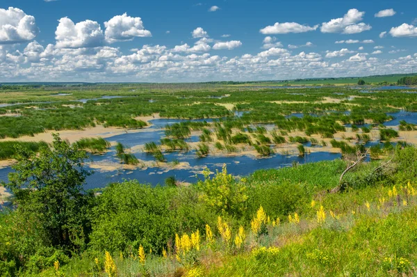 Yeşil ve bulutlu gökyüzü ile yaz manzarası