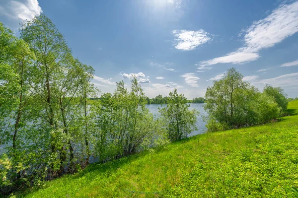Yeşil ve bulutlu gökyüzü ile yaz manzarası
