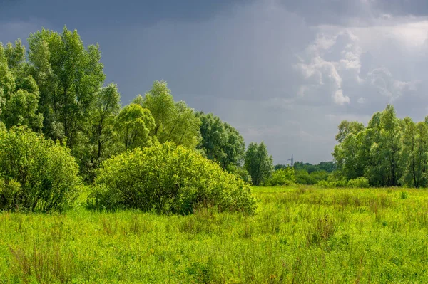 Yeşil ve bulutlu gökyüzü ile yaz manzarası