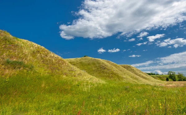 Yeşil ve bulutlu gökyüzü ile yaz manzarası