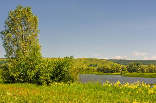 Gün ışığında güzel yaz manzarası
