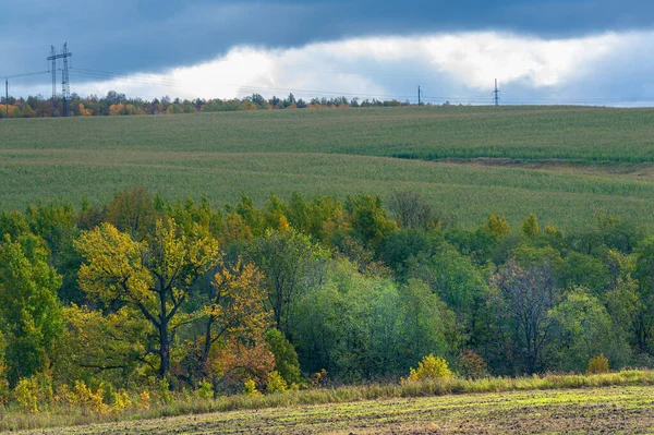 Yeşil ve bulutlu gökyüzü ile yaz manzarası