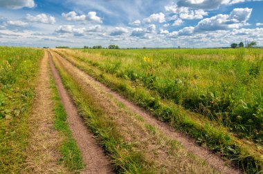 Gün ışığında güzel manzaranın resimsel görüntüsü
