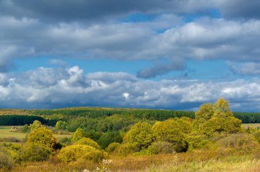 güpegündüz sonbahar manzarasının resimsel görüntüsü
