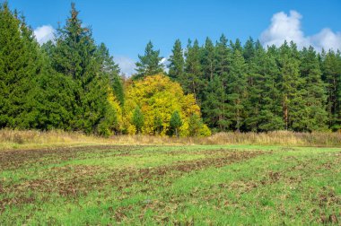 güpegündüz sonbahar manzarasının resimsel görüntüsü