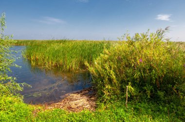 Gün ışığında güzel manzaranın resimsel görüntüsü