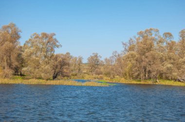 güpegündüz sonbahar manzarasının resimsel görüntüsü