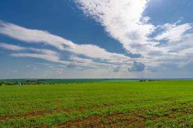 Gün ışığında güzel manzaranın resimsel görüntüsü