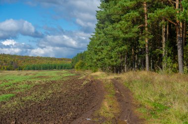 Yeşil ve bulutlu gökyüzü ile yaz manzarası