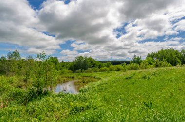 Gün ışığında güzel yaz manzarası
