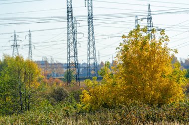 Gün ışığında güzel manzaranın resimsel görüntüsü