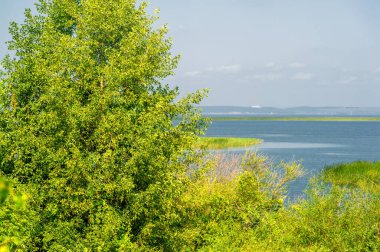Nehir manzarası, yeşillik ve bulutlu gökyüzü