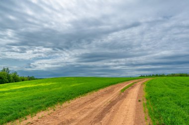 Gün ışığında güzel manzaranın resimsel görüntüsü