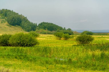 Gün ışığında güzel manzaranın resimsel görüntüsü