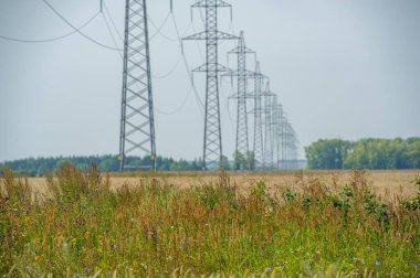 Gün ışığında güzel yaz manzarası