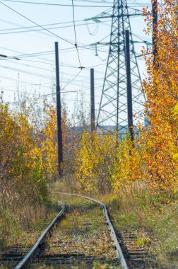 Gün ışığında güzel manzaranın resimsel görüntüsü