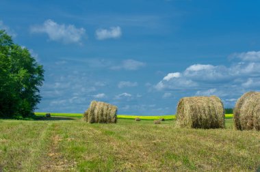 Gün ışığında güzel yaz manzarası