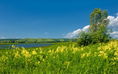 Nehir manzarası, yeşillik ve bulutlu gökyüzü