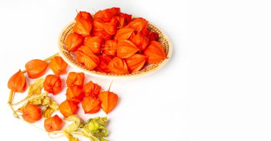 Beyaz zemin üzerinde Physalis izole, doğal duvar kağıdı