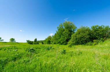 Gün ışığında güzel yaz manzarası