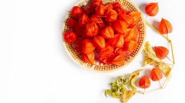 Beyaz zemin üzerinde Physalis izole, doğal duvar kağıdı