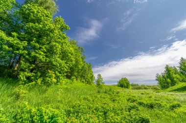 Gün ışığında güzel yaz manzarası