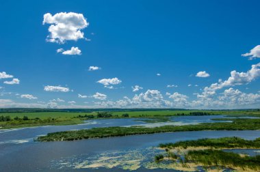 Gün ışığında güzel yaz manzarası
