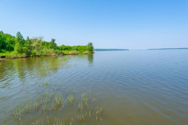 Gün ışığında güzel yaz manzarası