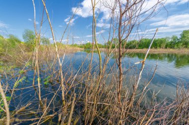 Nehir manzarası, yeşillik ve bulutlu gökyüzü