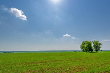 Gün ışığında güzel manzaranın resimsel görüntüsü