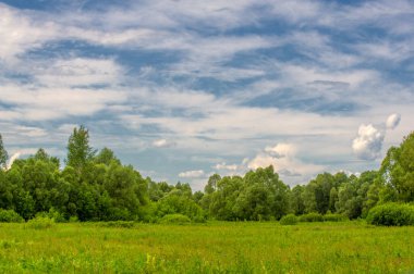 Yeşil ve bulutlu gökyüzü ile yaz manzarası