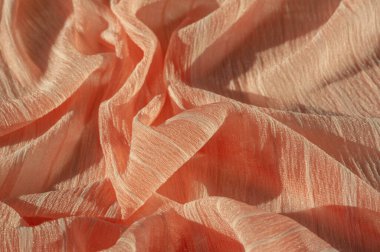 doku, arka plan, desen, koleksiyon, buruşuk ipek kumaş şampanyası (soluk geyik tüyü). Üç Boyutlu