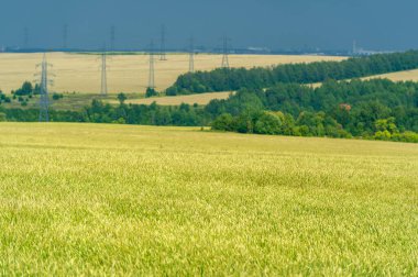 Gün ışığında güzel yaz manzarası