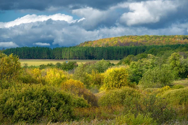 Picturesque View Autumn Landscape Daylight — Stock Photo, Image