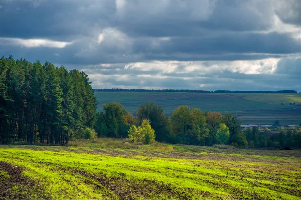 Letní Krajina Zelení Zataženou Oblohou — Stock fotografie