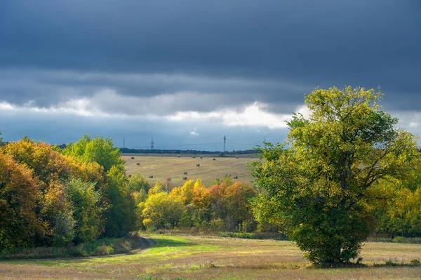 Picturesque View Autumn Landscape Daylight — Stock Photo, Image