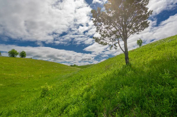 Pintoresca Vista Del Hermoso Paisaje Luz Del Día — Foto de Stock