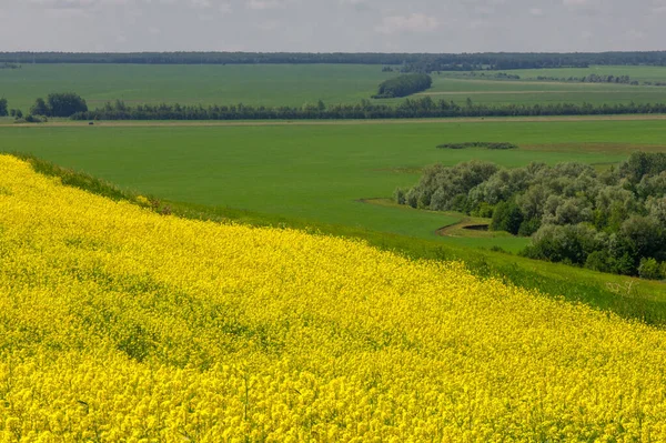 Pittoresk Utsikt Över Vackert Landskap Dagsljus — Stockfoto