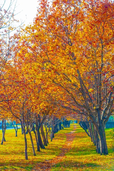 Pintoresca Vista Del Paisaje Otoñal Luz Del Día —  Fotos de Stock