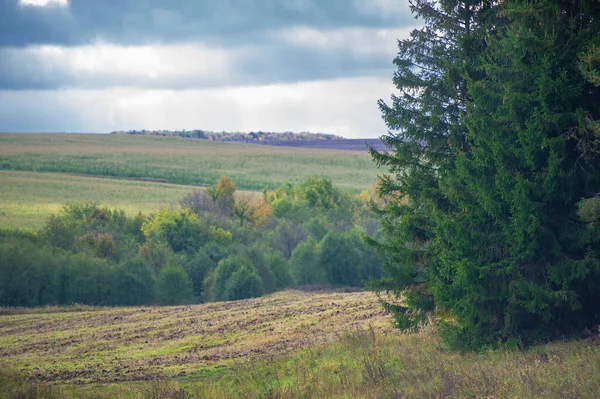 Pittoresk Utsikt Över Höstlandskapet Dagsljus — Stockfoto