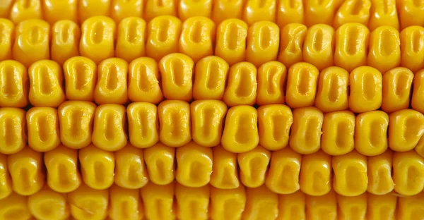 Zbliżenie Strzał Kukurydzy Tapety Żywności — Zdjęcie stockowe